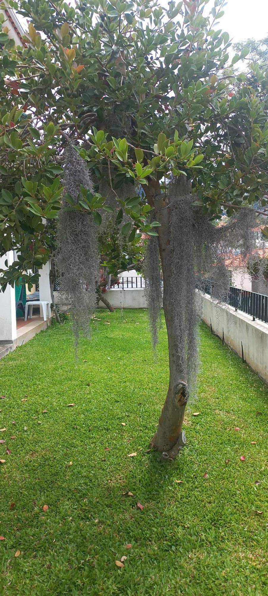 Villa Cosy Nook Funchal  Exterior foto
