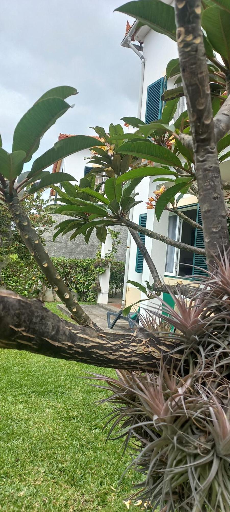 Villa Cosy Nook Funchal  Exterior foto