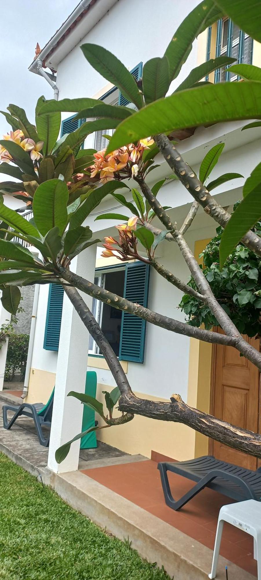 Villa Cosy Nook Funchal  Exterior foto